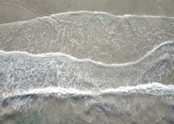 The 5 Steps To A Blissful Lifestyle: The Secret To Having 100% Happiness