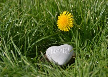 How vacations affect your happiness?