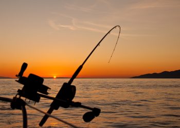Discover the Best Fishing Gear with Official-Flagman!