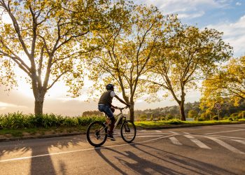 Cycling Enthusiasts Rejoice: Discover the Best Bicycles on Buy Best Gear