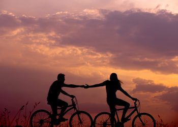 From Strangers to Soulmates: Building Meaningful Relationships with Official- Truthfinder