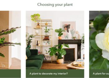 The Benefits of Going Green: How La Green Touch is Leading the Way