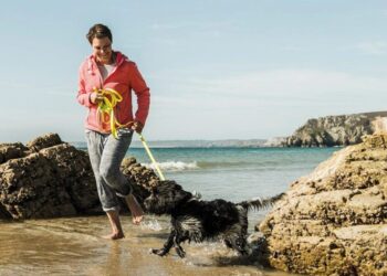 Exploring the Benefits of Using TrustedHousesitters for Your Next Adventure