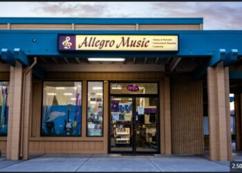 Real-Life Success Stories: Musicians Who Transformed Their Work Using Allegro