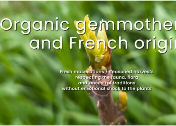 Exploring Biogemm: A Deep Dive into Innovative Solutions for Health and Wellness