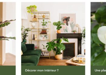 Embracing Eco-Innovation: Discover La Greentouch’s Sustainable Solutions.