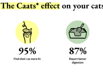 Caats offers you a cat food subscription with exclusive food formulas
