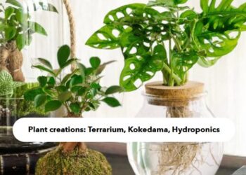 La Green Touch: Your Ultimate Guide to Eco-Friendly Products and Practices