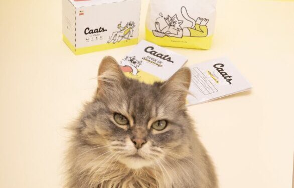 Pet Pampering Essentials: Discover Unique Finds at Caats Pet Care & Food Shop