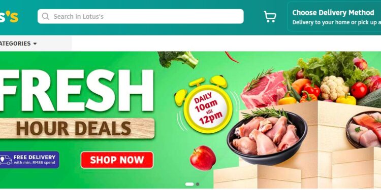 From Traditional to Modern: Exploring the Versatile World of Rugs with Rugs Leader