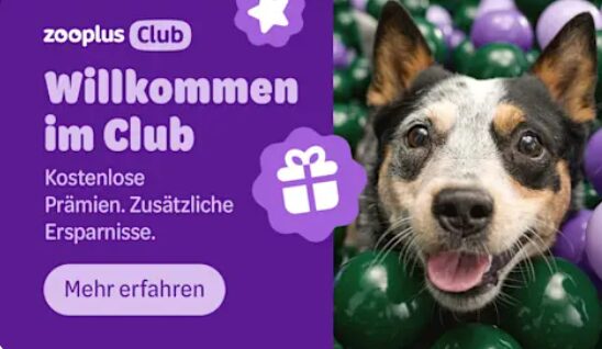 The Ultimate Guide to Zooplus: Your One-Stop Shop for Pet Supplies and Food