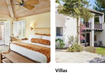 The Ultimate Guide to Booking Travel Companies: Tips and Tricks for Savvy Travelers