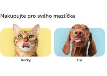 Shop Quality Pet Essentials at Zoohit