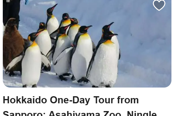 KKday Travel Experiences and What KKday Offers