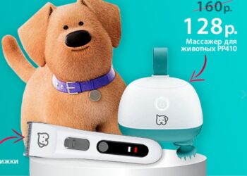 Beurer-Belarus: Wellness and Health at Your Fingertips