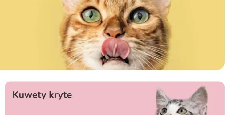 Zooplus Online Pet Shopping Guide: Everything You Need to Know About Zooplus