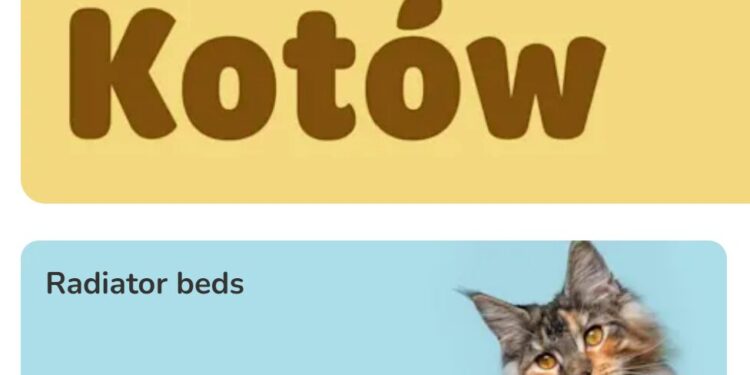 Best Pet Products to Buy on Zooplus Poland This Year