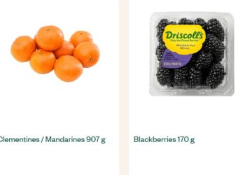 Voilà: Modern Innovation in Fashion, E-commerce, and Creative Business