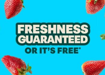 Voilà: Innovation, Convenience, and Modern Digital Solutions