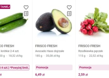 Frisco: The Future of Online Grocery Shopping and Convenient Home Delivery