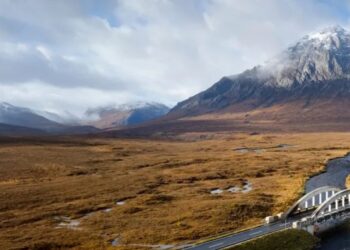 DFDS: Expanding Horizons Through Innovation, Sustainability, and Global Logistics Leadership