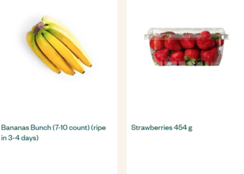 Voila: Simplifying Logistics and Powering Modern E-Commerce