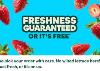 Voila: Simplifying Logistics and Powering Modern E-Commerce