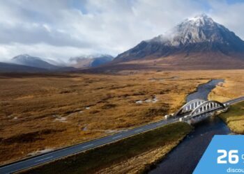 DFDS: The Complete Guide to Europe’s Leading Ferry and Logistics Company